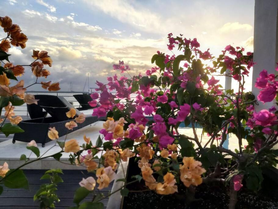 Tradewinds Apartments Simpson Bay Eksteriør bilde
